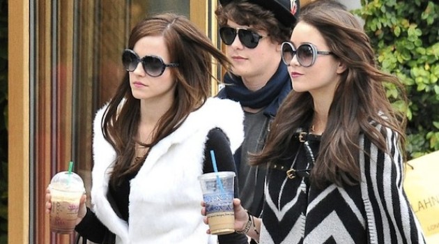 The Bling Ring Review